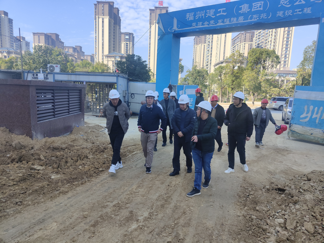 市多多28官网公司领导赴金禾公司各在建项目开展农民工工资督查和安全、质量调研指导